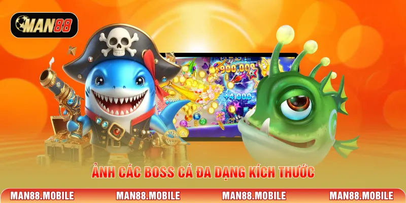 Ảnh các boss cá đa dạng kích thước