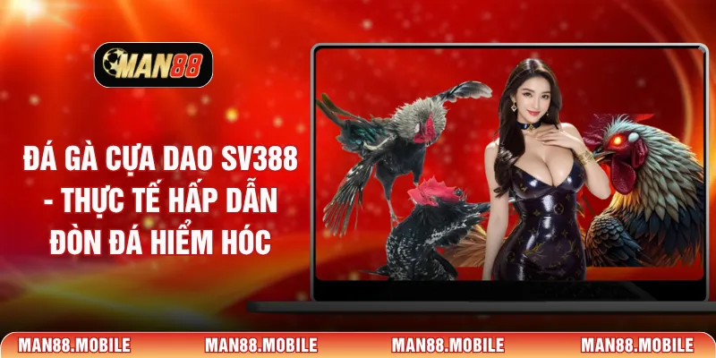 đá gà cựa dao sv388