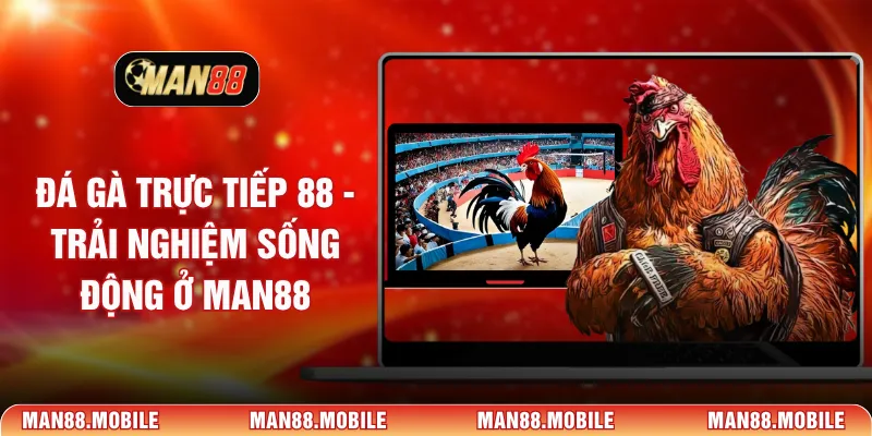 đá gà trực tiếp 88