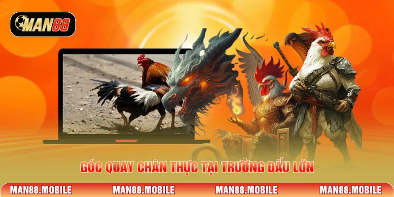 Góc quay chân thực tại trường đấu lớn