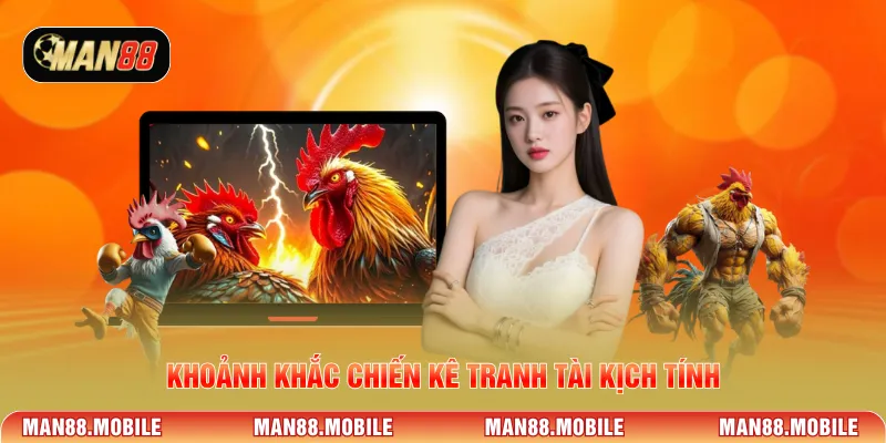 Khoảnh khắc chiến kê tranh tài kịch tính