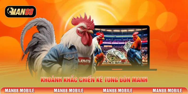 Khoảnh khắc chiến kê tung đòn mạnh