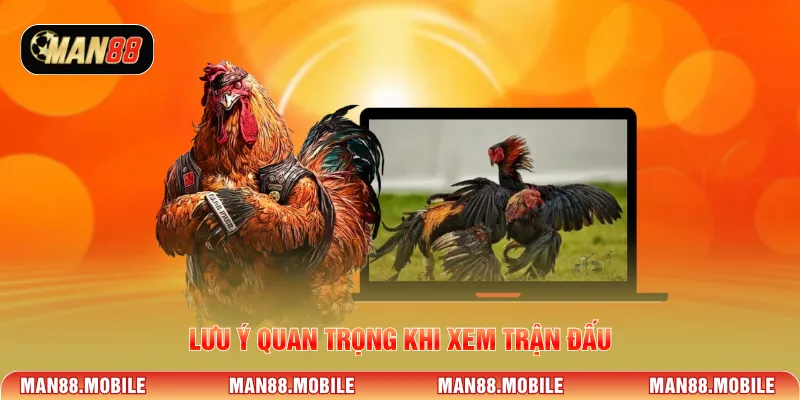 Lưu ý quan trọng khi xem trận đấu