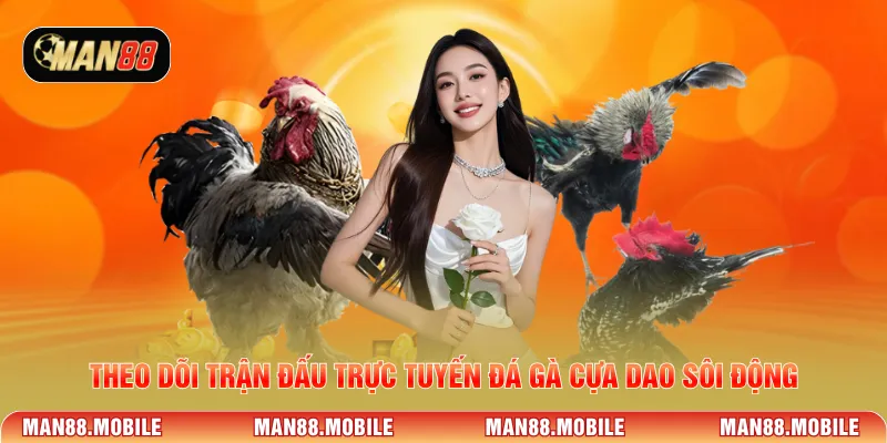 Theo dõi trận đấu trực tuyến đá gà cựa dao sôi động