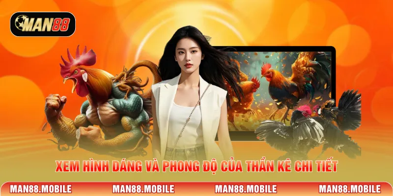 Xem hình dáng và phong độ của thần kê chi tiết
